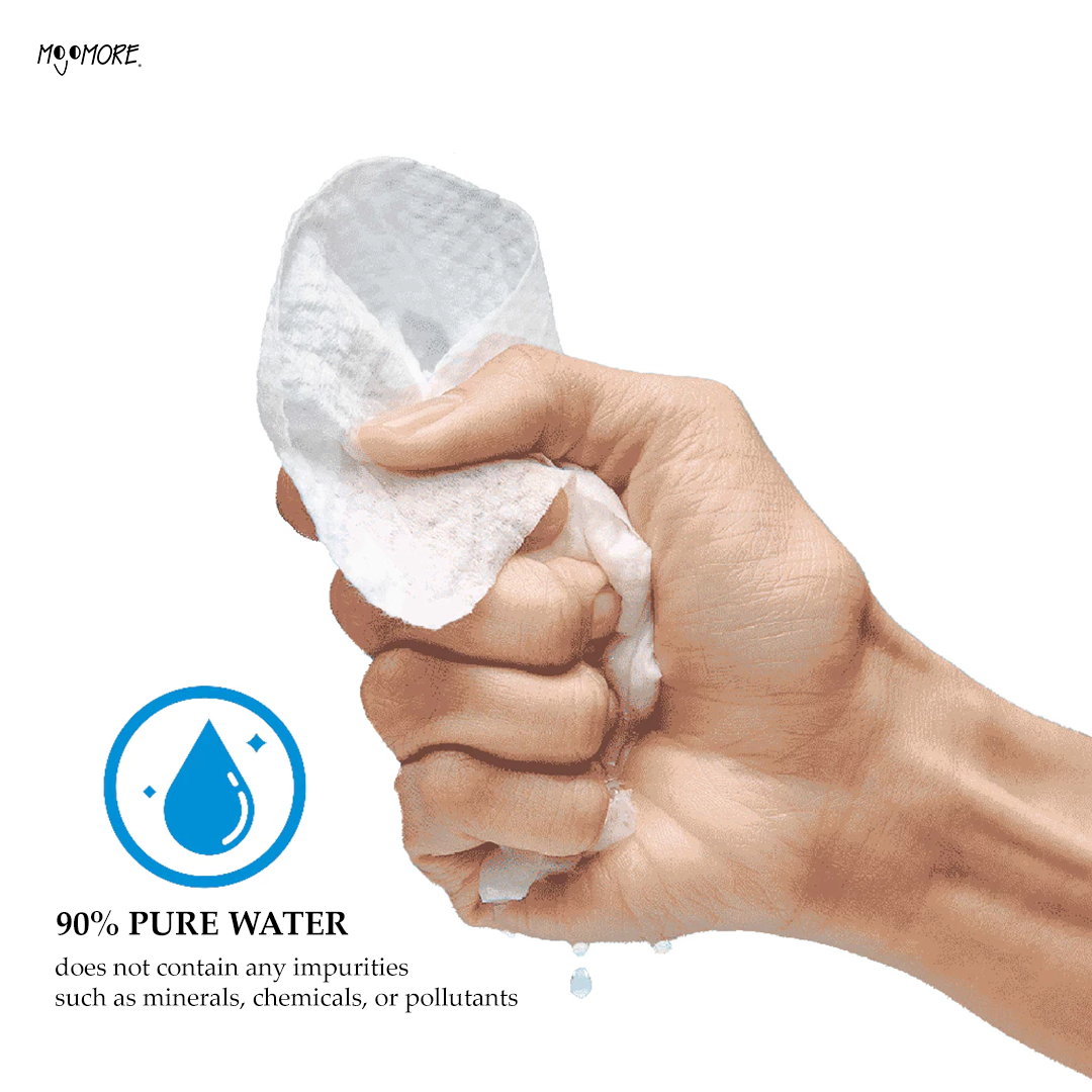 Wetty Antibacterial Wipes 80' Fragrance Free Wet Tisu Basah