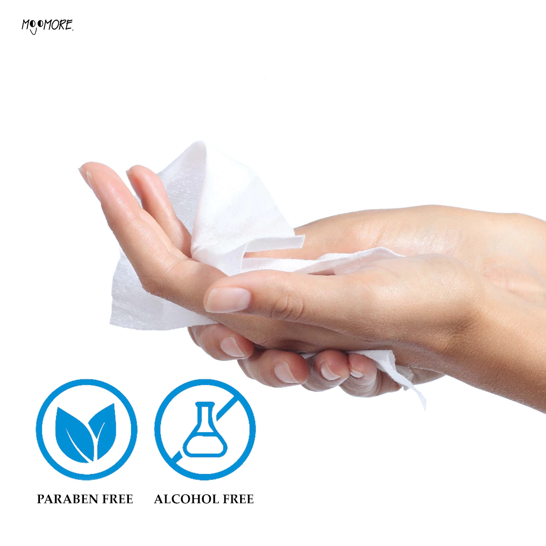 Wetty Antibacterial Wipes 80' Fragrance Free Wet Tisu Basah