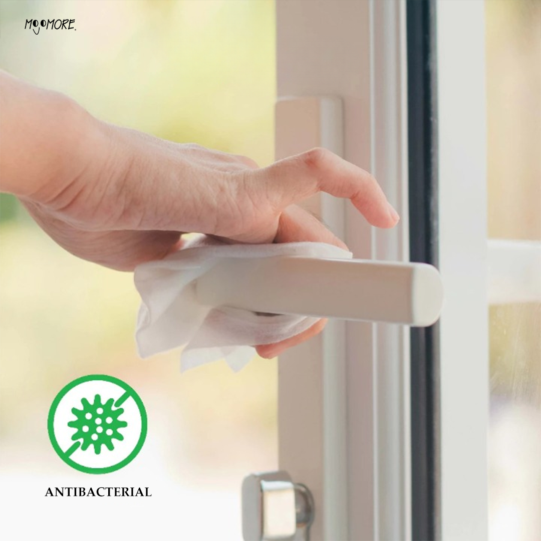 Wetty Antibacterial Wipes 80' Fragrance Free Wet Tisu Basah