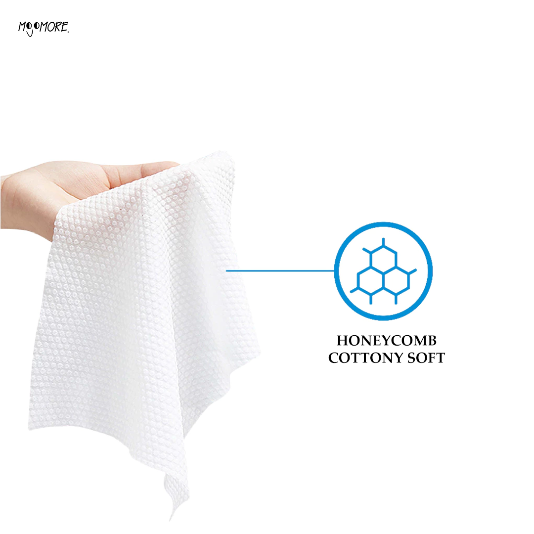 Wetty Antibacterial Wipes 80' Fragrance Free Wet Tisu Basah