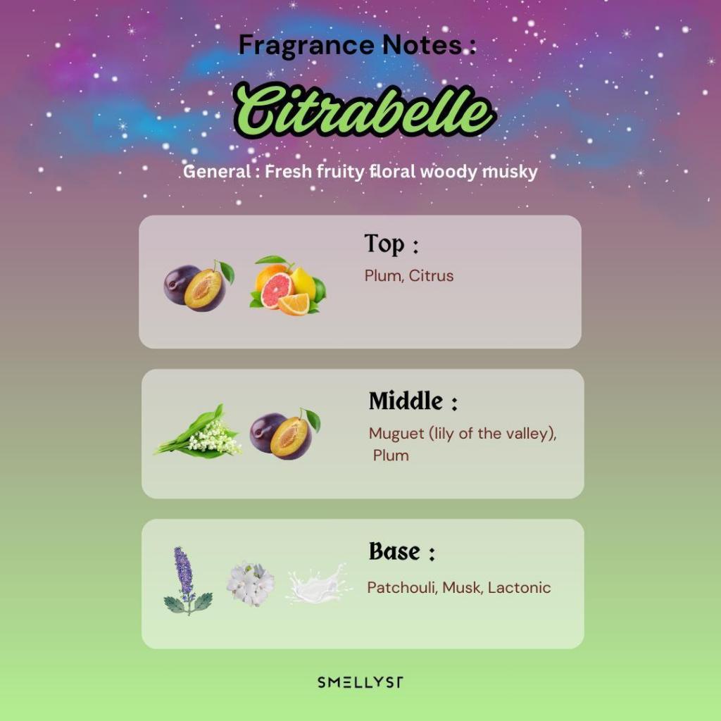 SIRI AURORA – PEWANGI RUMAH (PEK PERMULAAN) LILIN WANGI MEWAH TANPA SUMBU – EDISI TERHAD – SET HADIAH THE AURORA SERIES