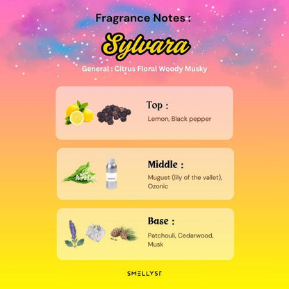 SIRI AURORA – PEWANGI RUMAH (PEK PERMULAAN) LILIN WANGI MEWAH TANPA SUMBU – EDISI TERHAD – SET HADIAH THE AURORA SERIES