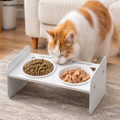 MOJOMORE Stainless steel pet bowl Mangkuk Kucing Cat high bowl with stand Neck protection Easy to Clean