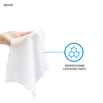 Wetty Antibacterial Wipes 80' Fragrance Free Wet Tisu Basah