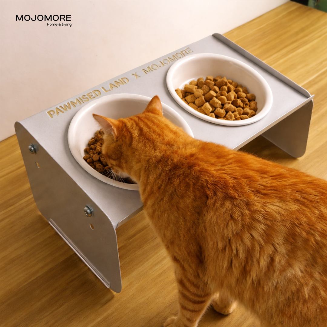 MOJOMORE Stainless steel pet bowl Mangkuk Kucing Cat high bowl with stand Neck protection Easy to Clean